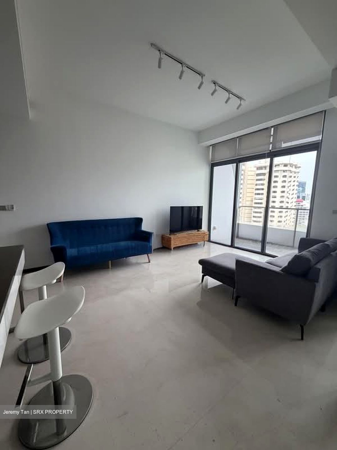 The Scotts Tower (D9), Condominium #600963851